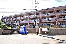 グレースコート