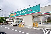 ドラッグセイムス小平天神店 徒歩10分。ドラックストア 730m