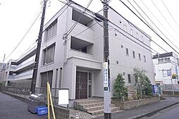 Ｒａｆ　ｆｉｎｅ　ｐａｌａ　ｚ　ｚｏ 205