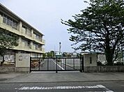 藤沢市立鵠洋小学校 1255m