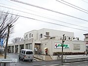 しまむらストアーすみれ平店 568m