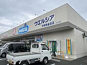 ウエルシア平塚南金目店 徒歩14分。 1080m