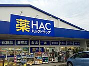 ハックドラッグ辻堂店 1118m