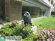 ライオン像　※2026年5月撮影