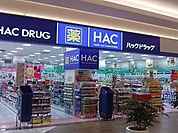 ハックドラッグ藤沢白旗店 714m