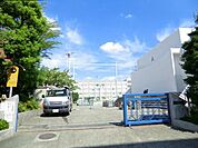 東綾瀬中 600m