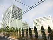 東京電機大学 490m