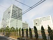 東京電機大学 1300m