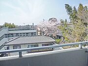 ★桜が見えます★