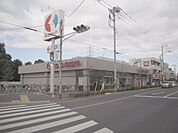 京王ストア 800m