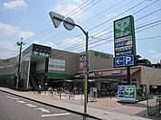 サミット 50m