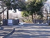 国際基督教大学 1000m