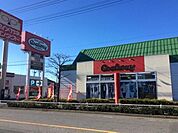 ゴールウェイ東大和店 1916m