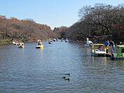 井の頭恩賜公園 800m