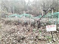 福岡県那珂川市大字成竹：物件画像