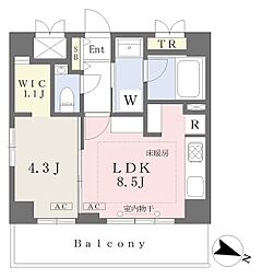 仮）グリーンヒルズ南大塚 5階1LDKの間取り