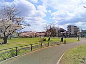 都立城北中央公園まで500ｍ