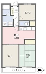 マロンヒルズ 3DKの間取図画像
