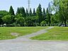 周辺：中央公園まで800m