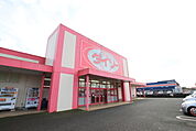 ダイソー八街松島店まで800ｍ