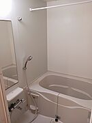 バス