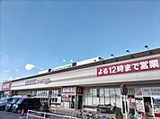 カスミ フードスクエア ライフガーデン茂原店まで950ｍ