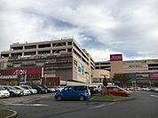 イオンモール柏まで1200m