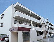 千葉県習志野市津田沼4丁目3-20：物件画像／株式会社ハウスメイトショップ　勝田台店