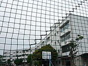 小学校