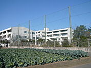 中学校