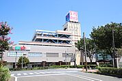 東急ストア 湘南とうきゅうまで800ｍ
