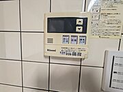 バス