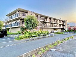 東急田園都市線 つきみ野駅 徒歩17分の賃貸マンション