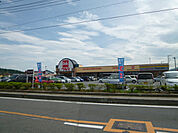ベルク毛呂山店まで800ｍ