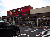 ヤオコー 所沢美原店まで300m