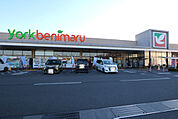 ヨークベニマル針ヶ谷店　約1300m