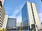 大学