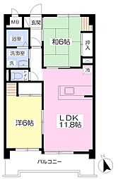 アルファコートA棟 2LDKの間取図画像