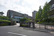 大学
