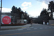 大学