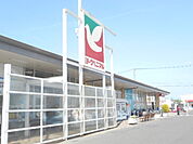 ヨークベニマル