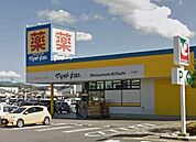ドラッグストア
