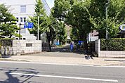 大学