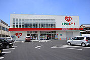 ドラッグストア