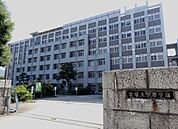 大学