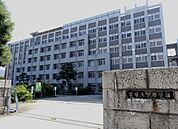 大学