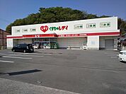 ドラッグストア