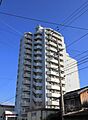 伊予鉄道高浜線 三津駅 徒歩3分の賃貸マンション