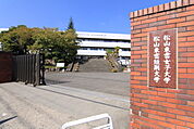 大学