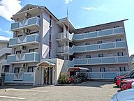 愛媛県松山市清水町4丁目4-6：物件画像／株式会社ハウスメイトショップ　松山柳井町店